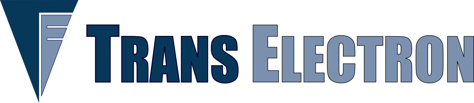 ina logo