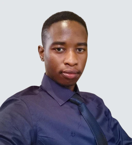 junior web developer